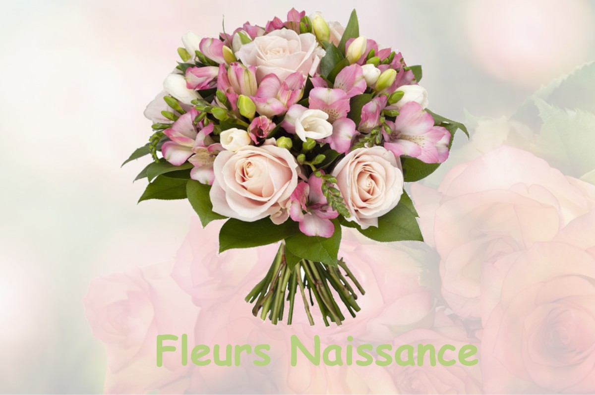 fleurs naissance LE-BIGNON-MIRABEAU