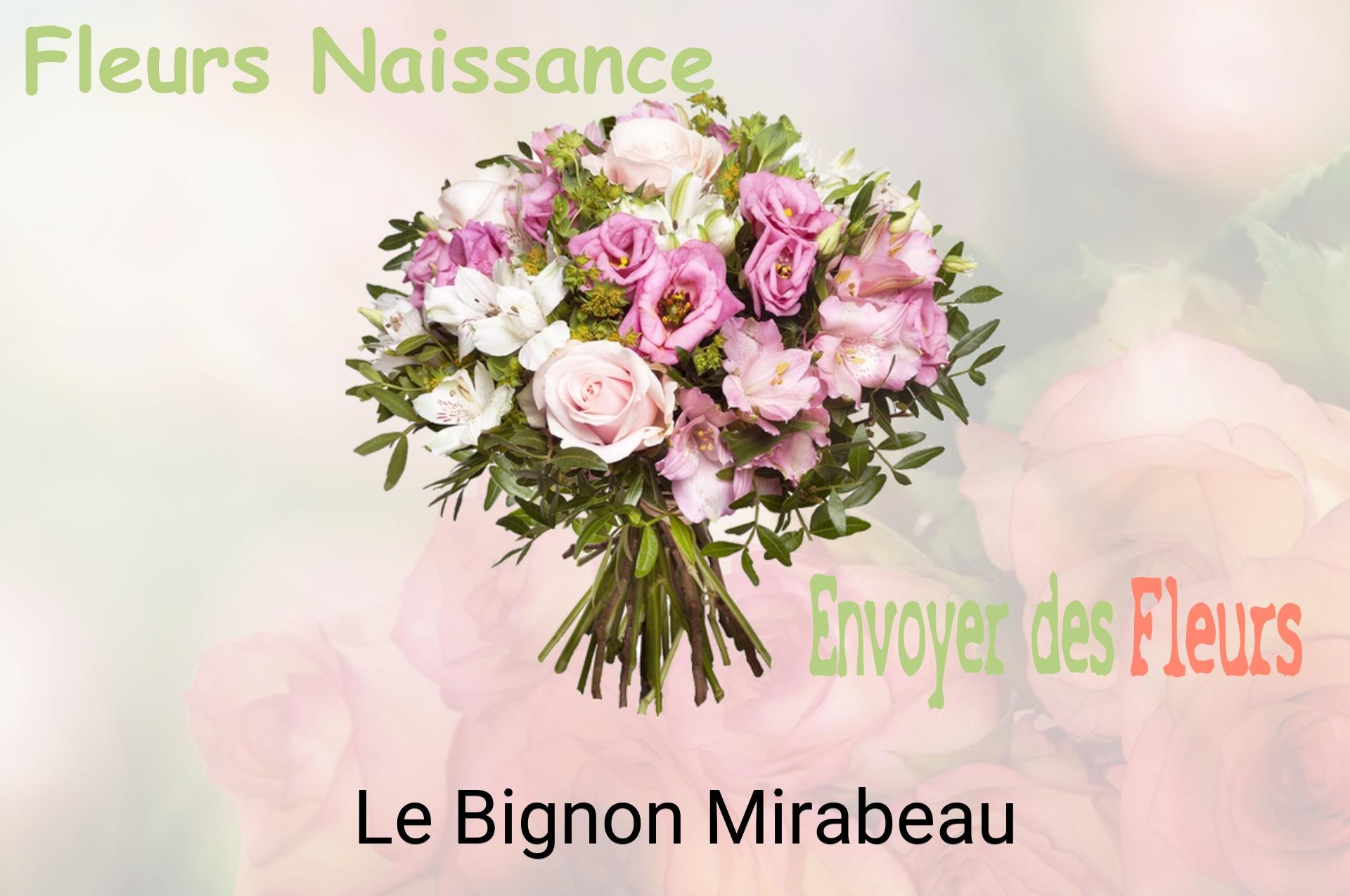Bouquet de fleurs de naissance livré à Le Bignon-Mirabeau