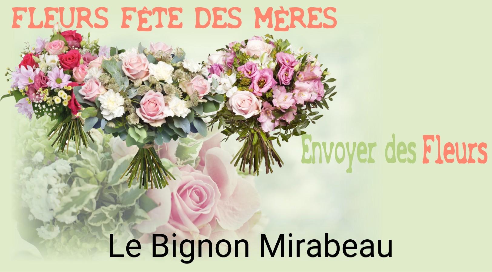 Bouquet de Fête des Mères livré à Le Bignon-Mirabeau